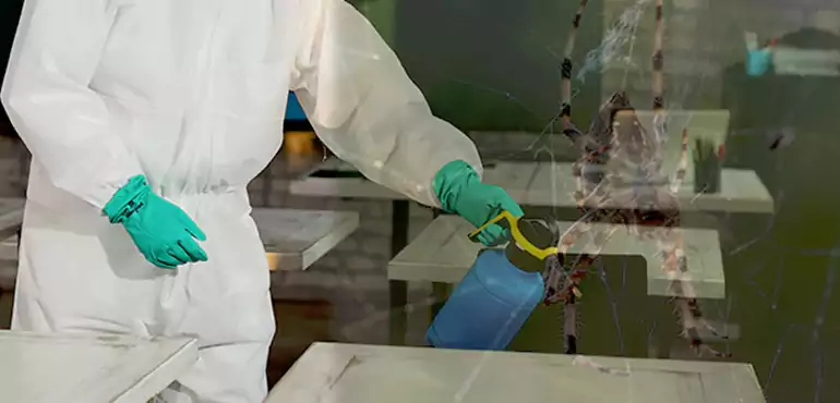 Why Buyers Still Want Homes With Pest Infestations in Chattanooga, TN?